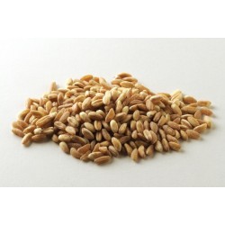 Farro perlato confezione da 1 kg