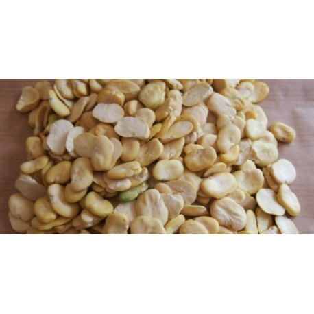 Fave decorticate confezioni da 1 kg 