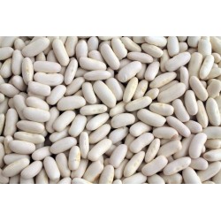 Fagioli secchi Cannellini confezioni da 1 kg 