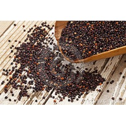 Quinoa nera confezioni da 200 grammi 